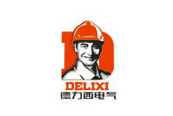 九游（中国）合作伙伴-德力西电气
